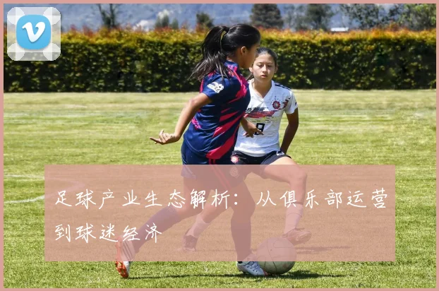 足球产业生态解析：从俱乐部运营到球迷经济