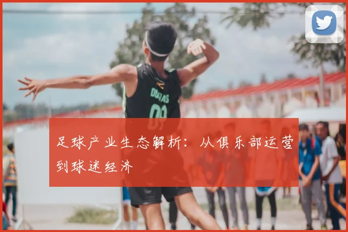 足球产业生态解析:从俱乐部运营到球迷经济